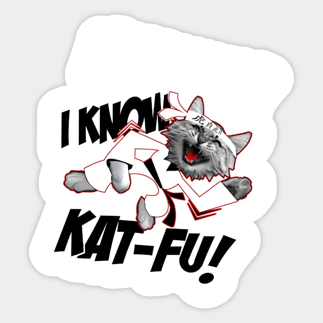 Warning! I Know Kat-Fu! Sticker by veerkun